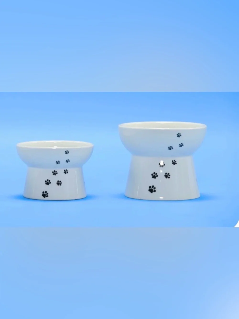 Elevated Ceramic Cat Food Bowl & Water Bowl Set
